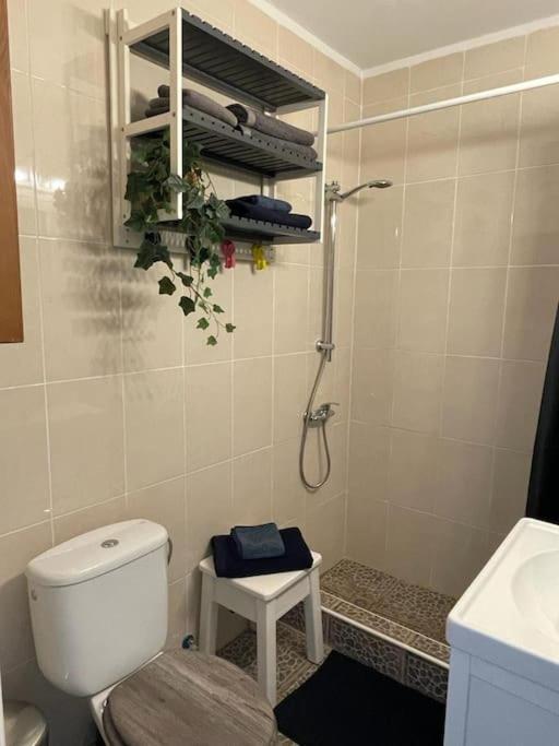 Lanzarote Sea, Acogedora Vivienda Lägenhet Puerto del Carmen  Exteriör bild